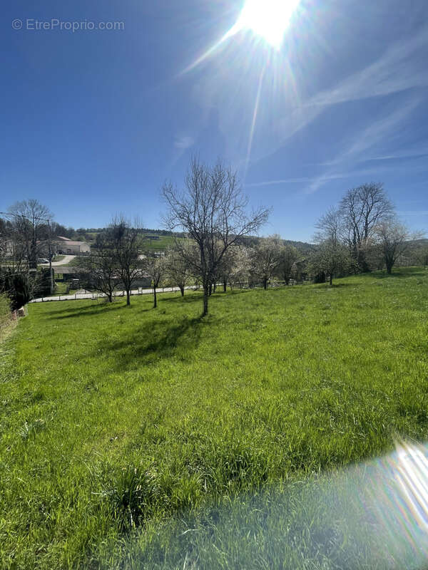 Terrain à RAIVAL