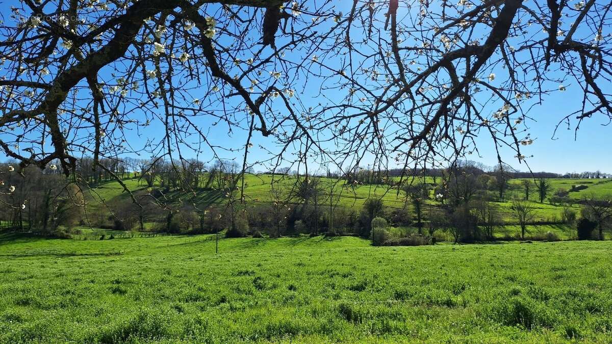 Maison à YVRAC-ET-MALLEYRAND