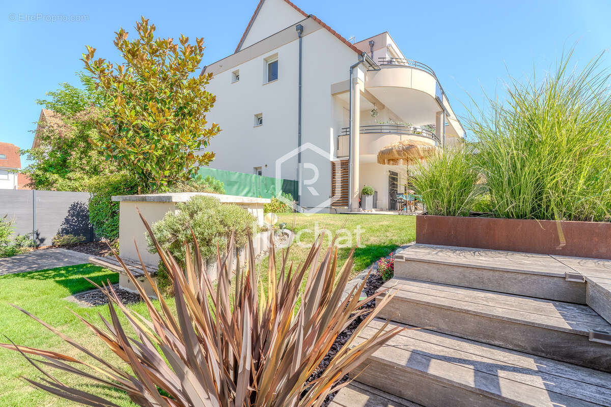 Oberschaeffolsheim   rare t4 rez-de-jardin avec piscine, jardin de 275 m2 et garage double - photo 20