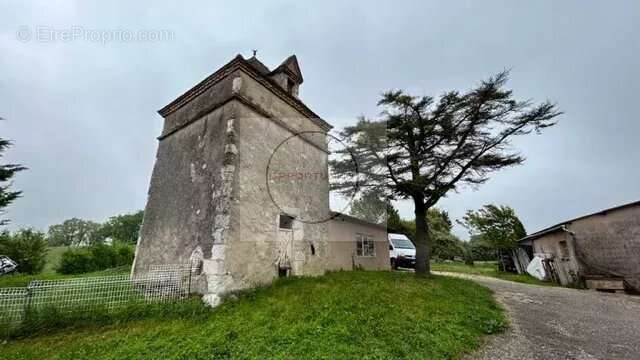Complexe touristique petite ferme propriété bio - photo 24