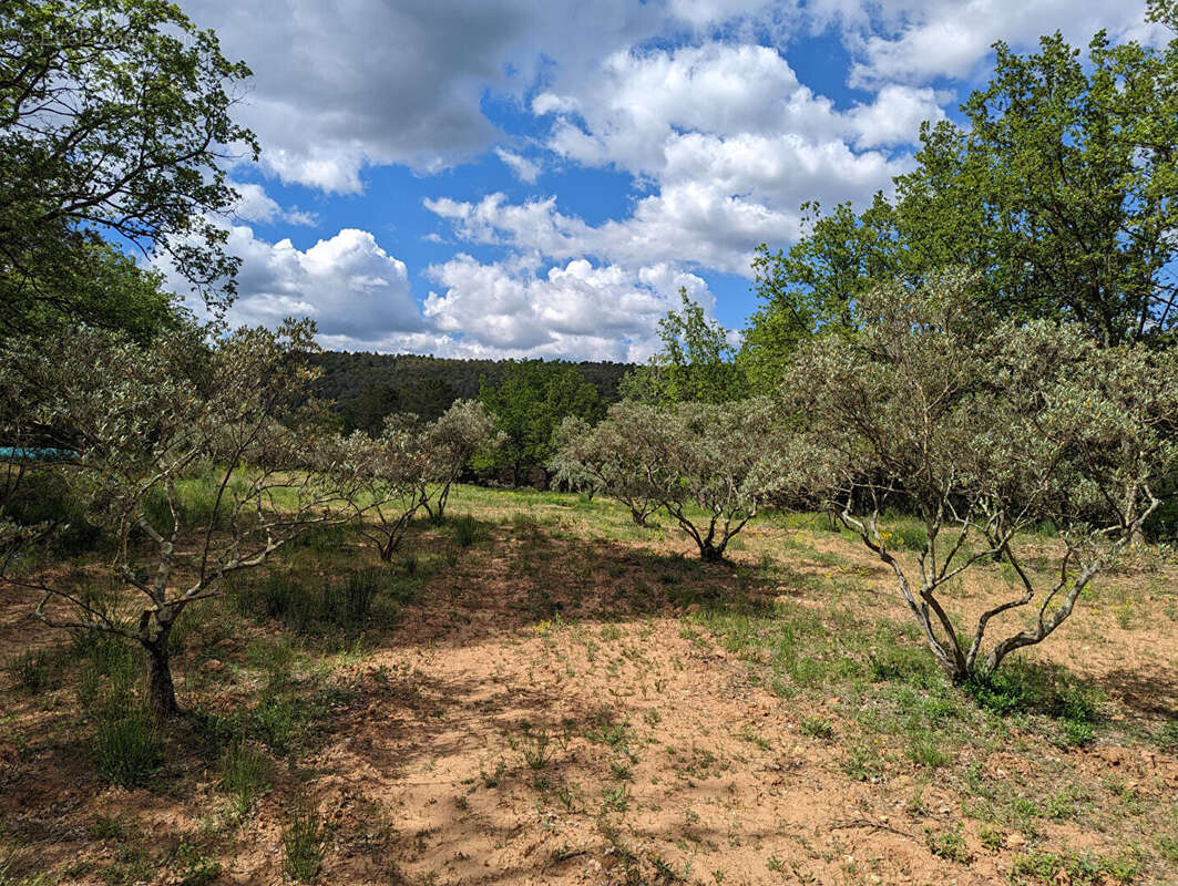 VILLECROZE,   propriété sur 4.2 hectares, bastide de charme, poolhouse, piscine, bassin, cabanon et oliveraie. - photo 16