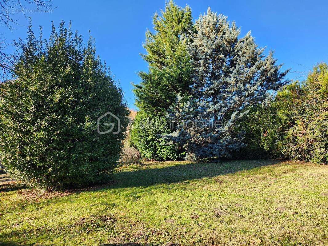 Maison à FORCALQUIER
