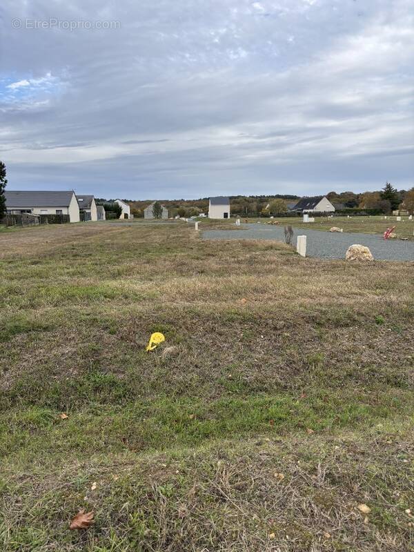 Terrain à SOUCELLES