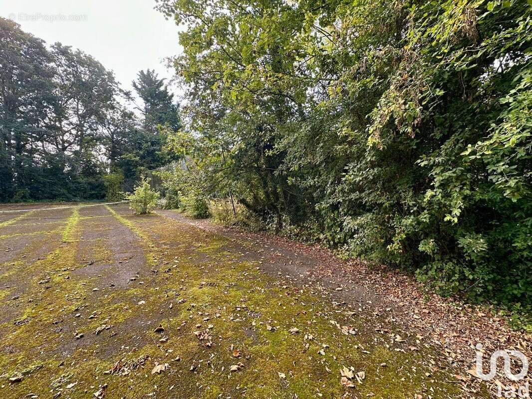 Photo 5 - Terrain à MATHIEU