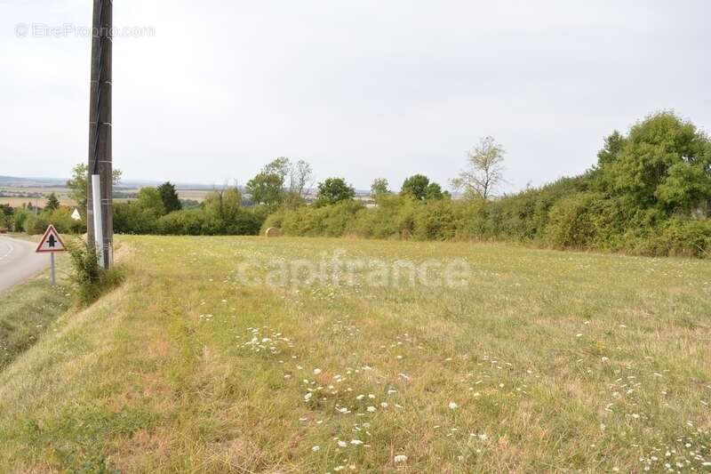 Terrain à construire à vendre  ALLIGNY COSNE (58200) - photo 2