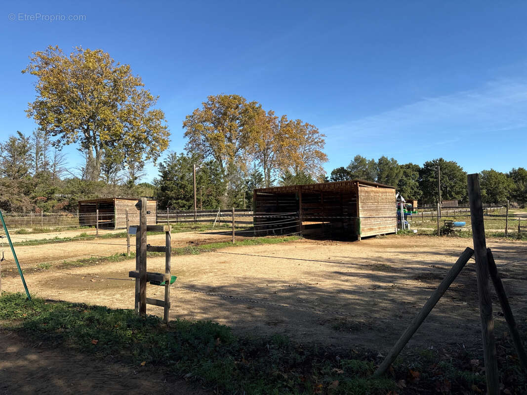 Maison à SAINT-JEAN-PLA-DE-CORTS