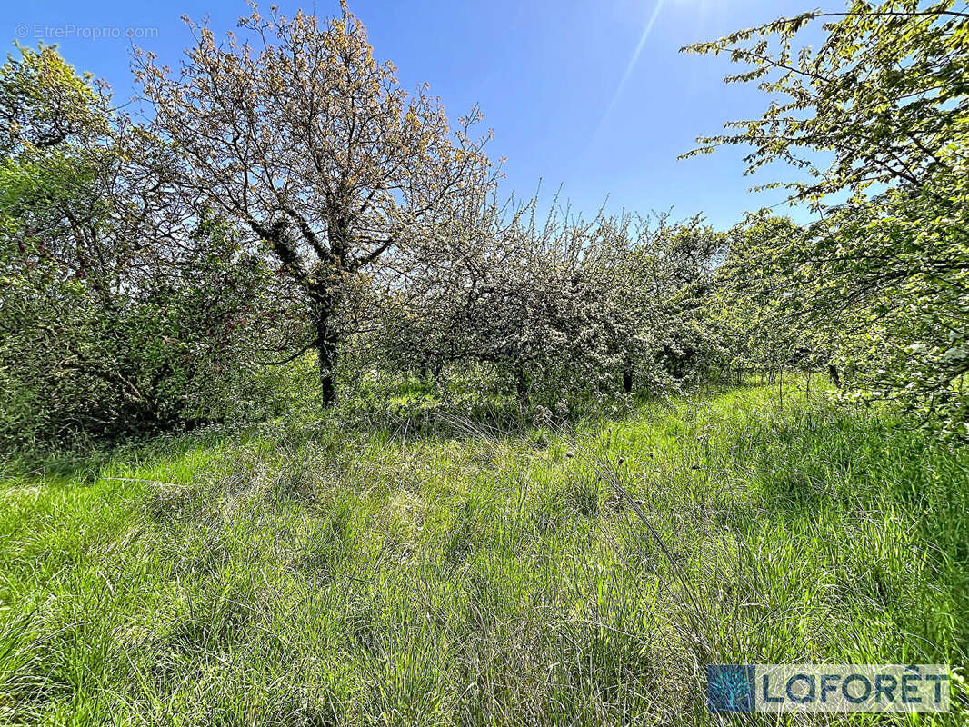 Terrain à BOURBONNE-LES-BAINS