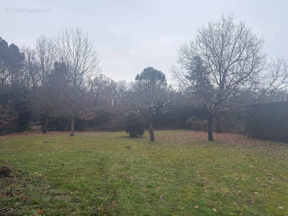Terrain à MONTBARTIER