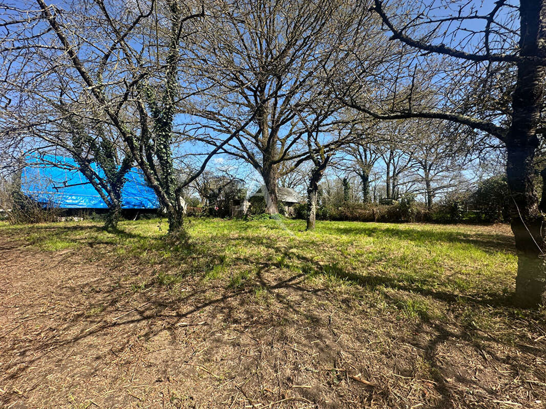 Terrain à NOZAY