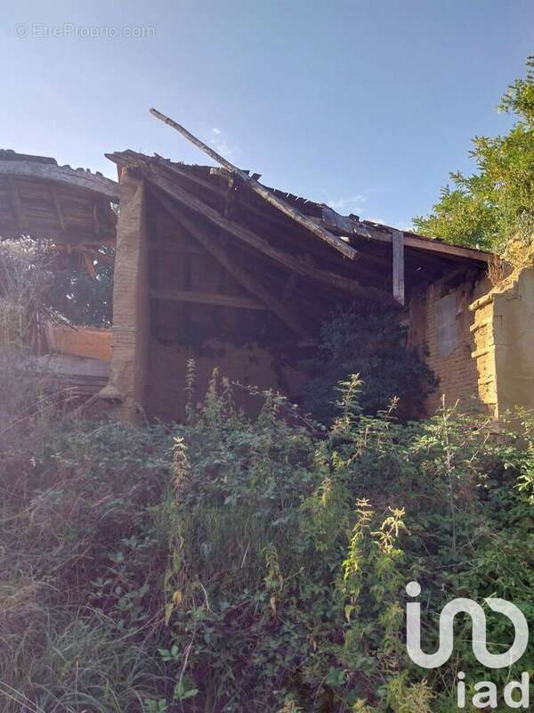 Photo 7 - Terrain à CAZES-MONDENARD