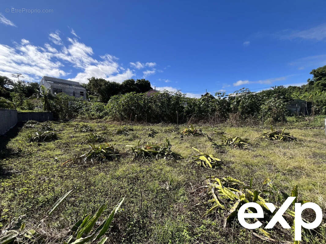 Terrain à ENTRE-DEUX