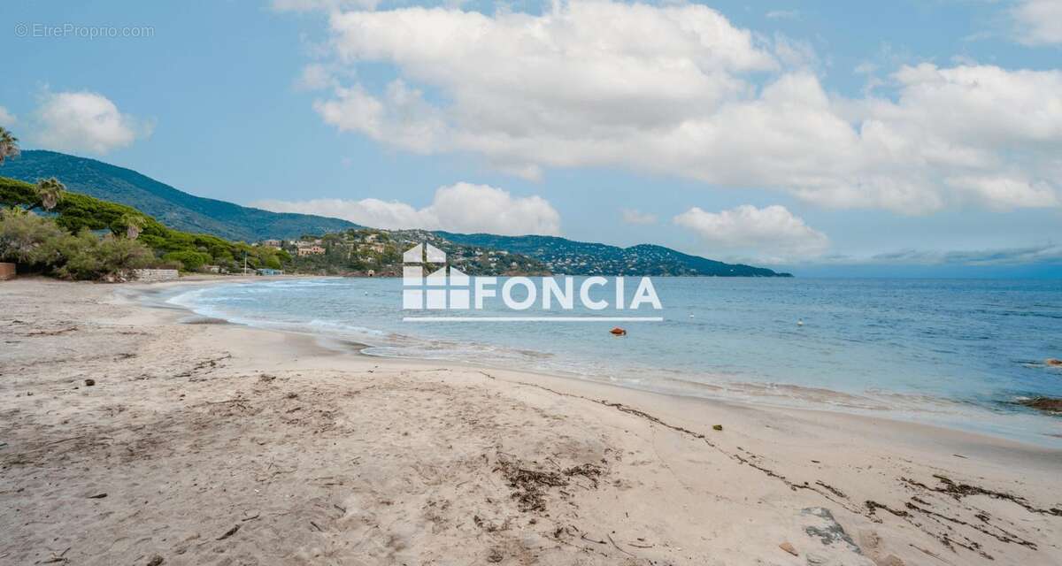 PRAMOUSQUIER - Appartement 3 pièces + cabine (6/8 personnes) - Piscine et accès plage - photo 5