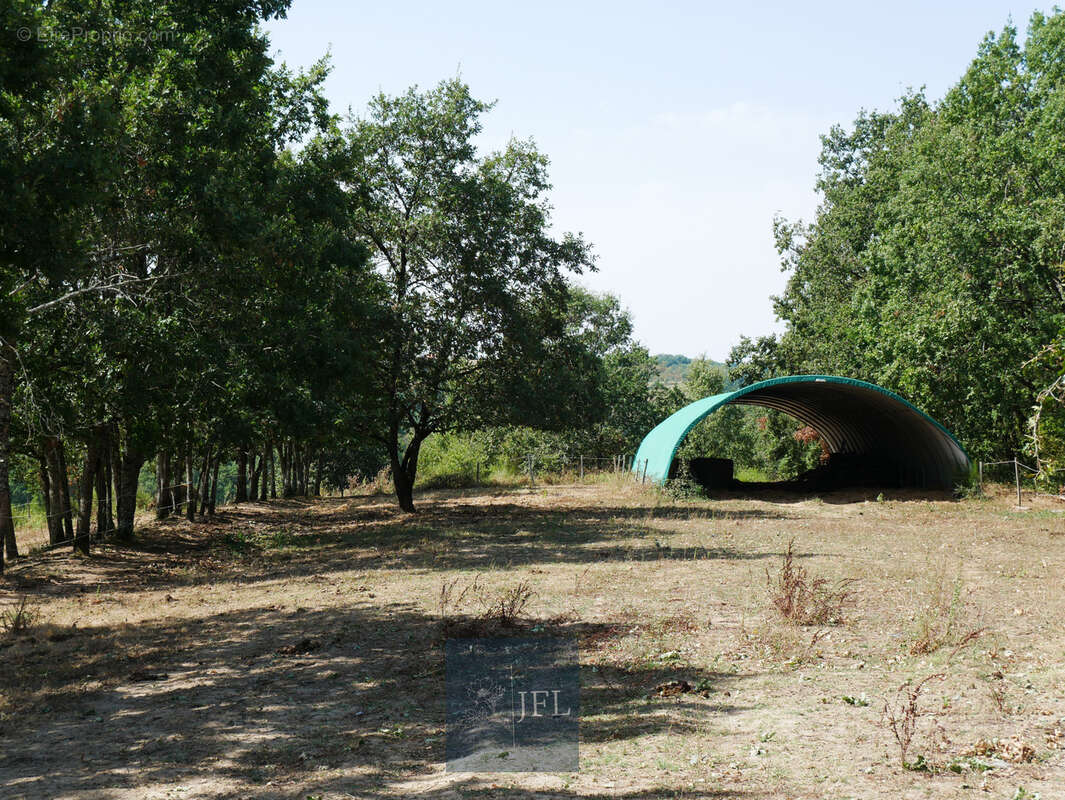 n°3 - Maison à MOISSAC