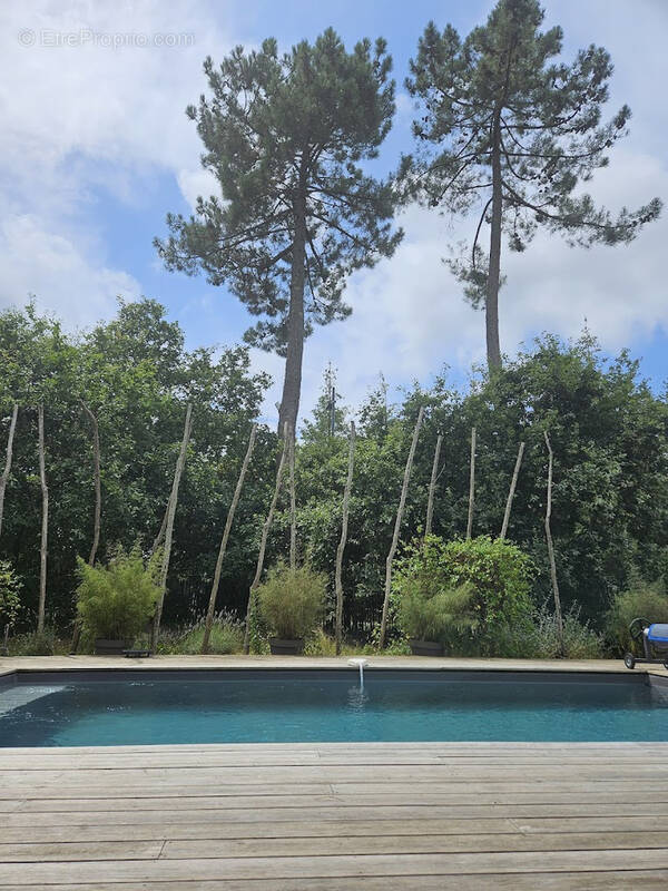 Maison à LEGE-CAP-FERRET