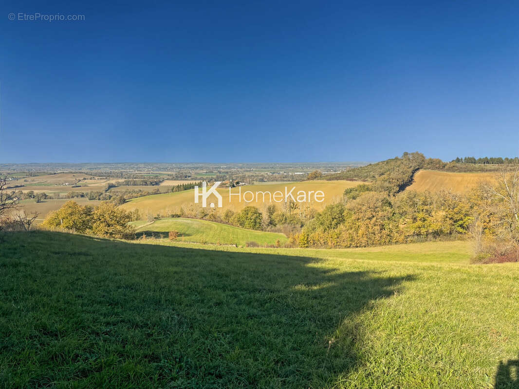 Maison à MONTESQUIEU-VOLVESTRE