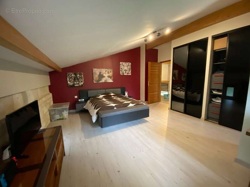 Magnifique propriété - Habitation de 456m² et Hangar de 360m2 à SAINT CHRISTOLY DE BLAYE (33) - photo 9
