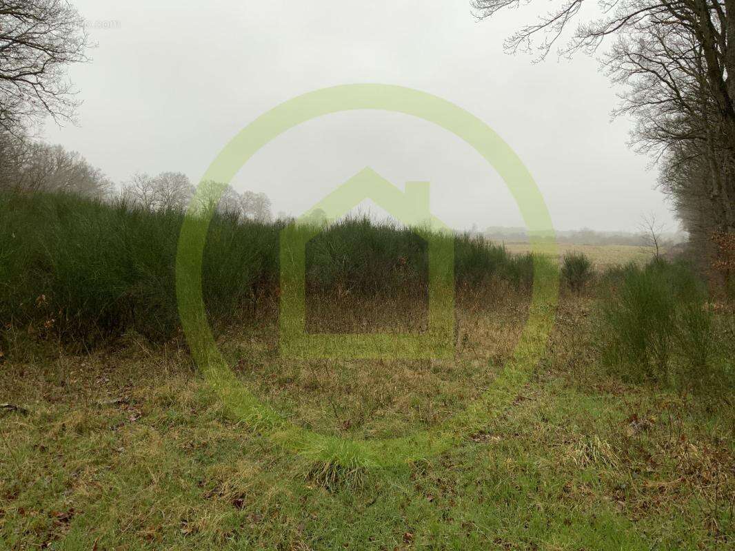 Terrain à LIGNEROLLES