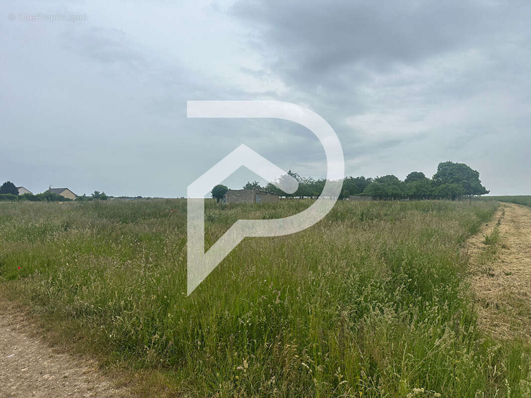 Terrain à BRETAGNOLLES