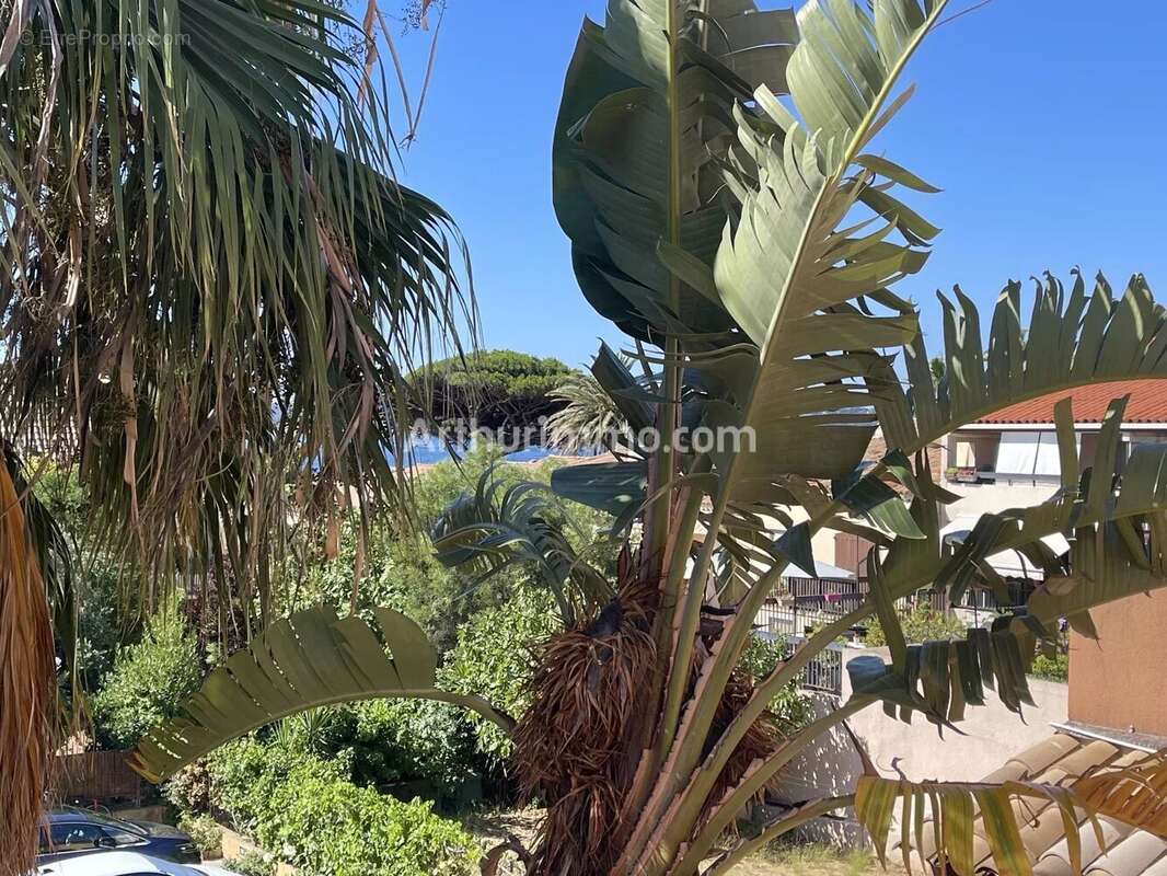 Appartement à SAINTE-MAXIME