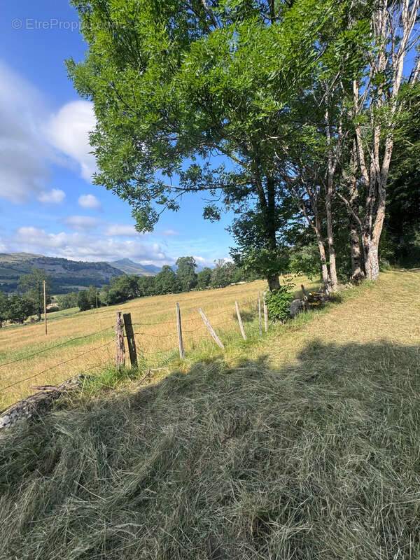 Corps de ferme rénové, 1272 m2 de terrain et jolie vue dégagée Secteur Puy Mary - photo 23