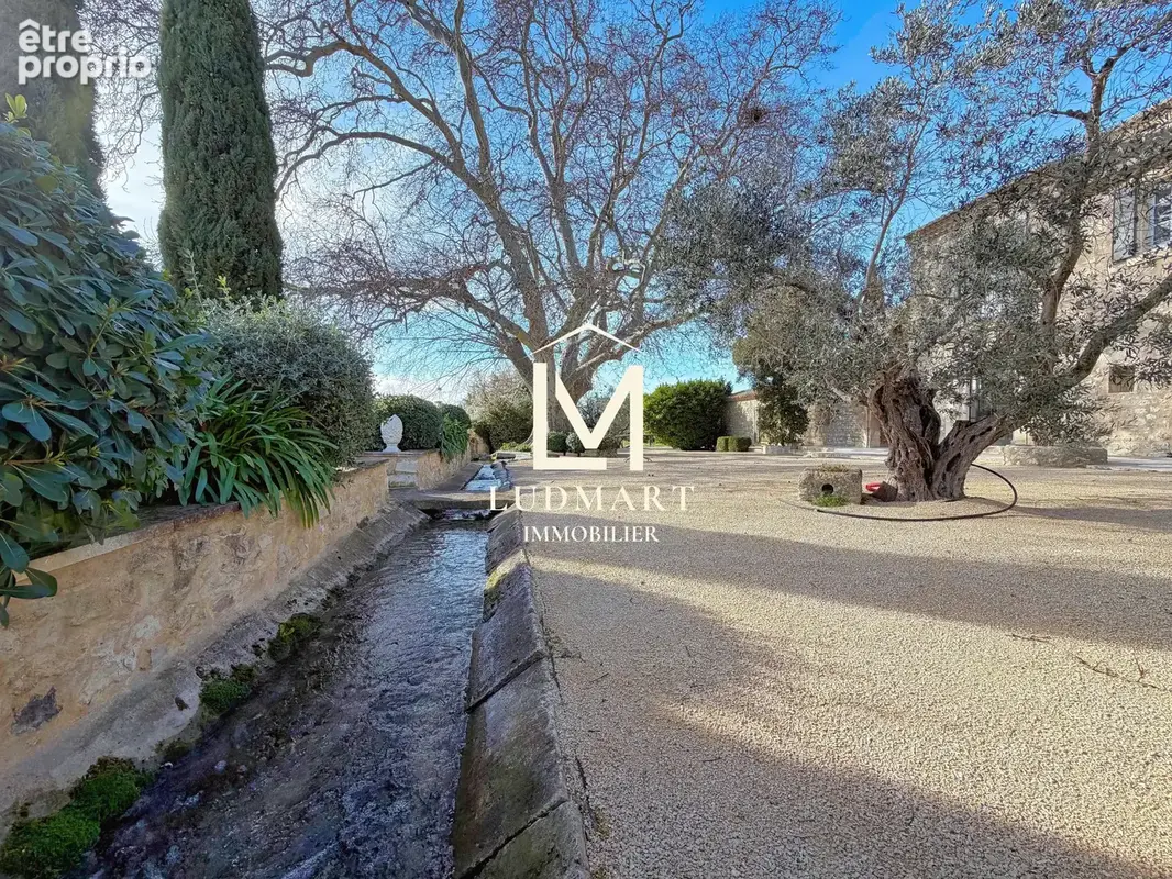 Propriété d’exception de 1300m2 au cœur des Alpilles — Domaine de 7,3 ha avec oliveraie - photo 5
