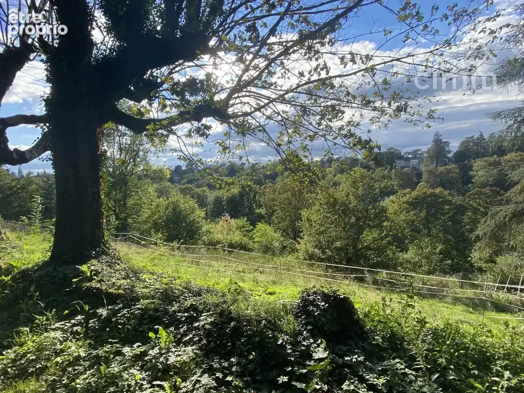 Rare propriété 240m², cave 110m², terrain 16000m² - photo 2