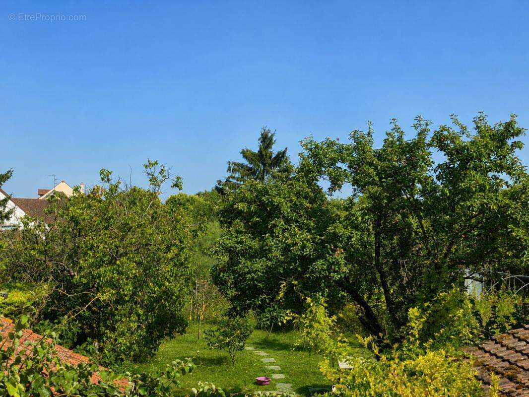 Entre Dijon et Nuits-Saint-Georges – Maison de village avec jardin et dépendances - photo 18