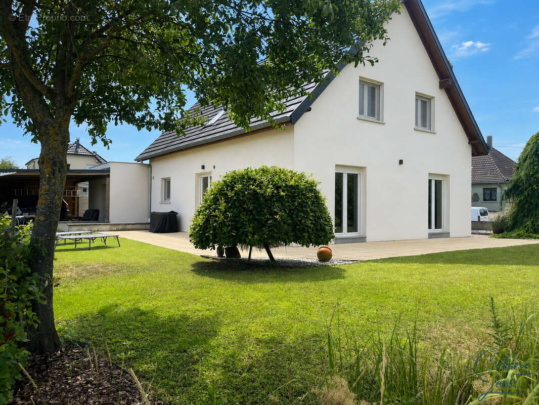 Maison à MARCKOLSHEIM