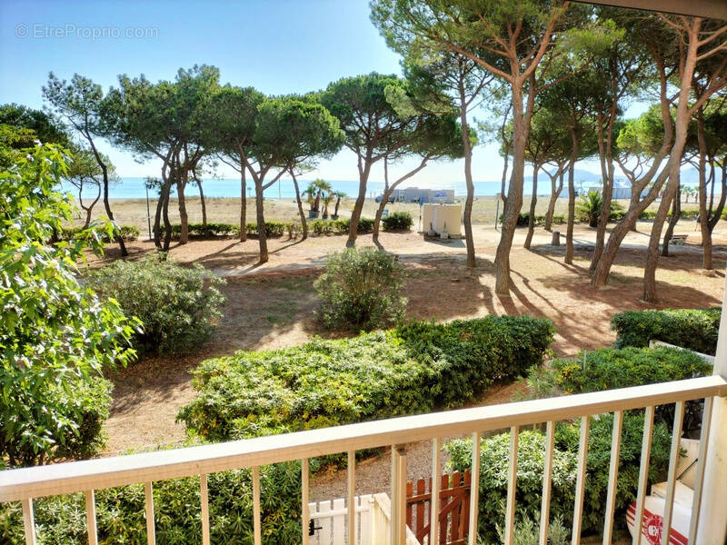 Appartement à ARGELES-SUR-MER