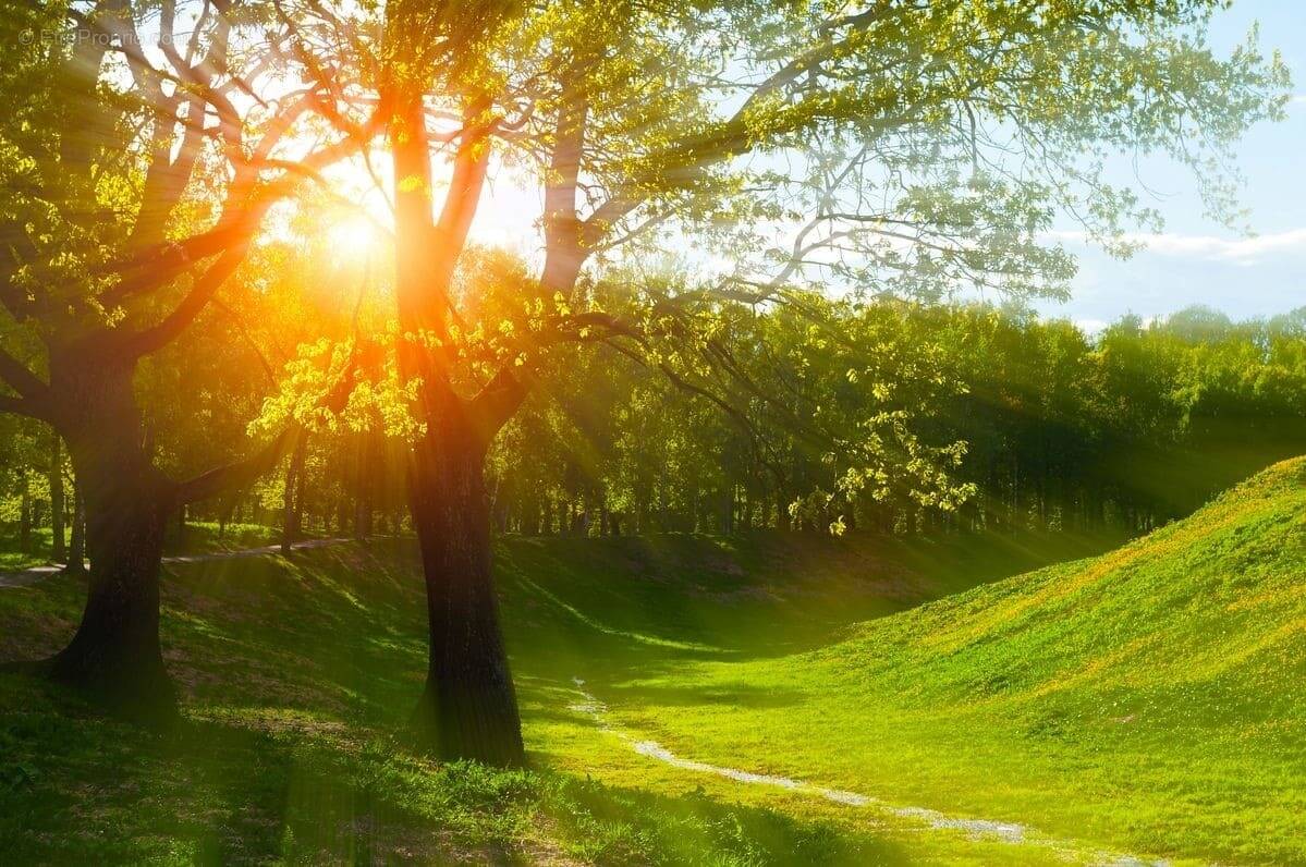 Terrain à PLAIMPIED-GIVAUDINS