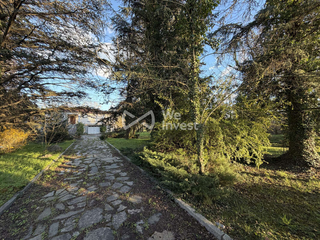 Terrain à CAMBOUNET-SUR-LE-SOR