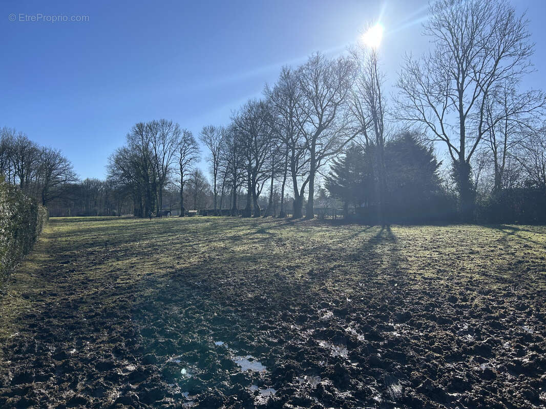 Maison à MORTAGNE-AU-PERCHE