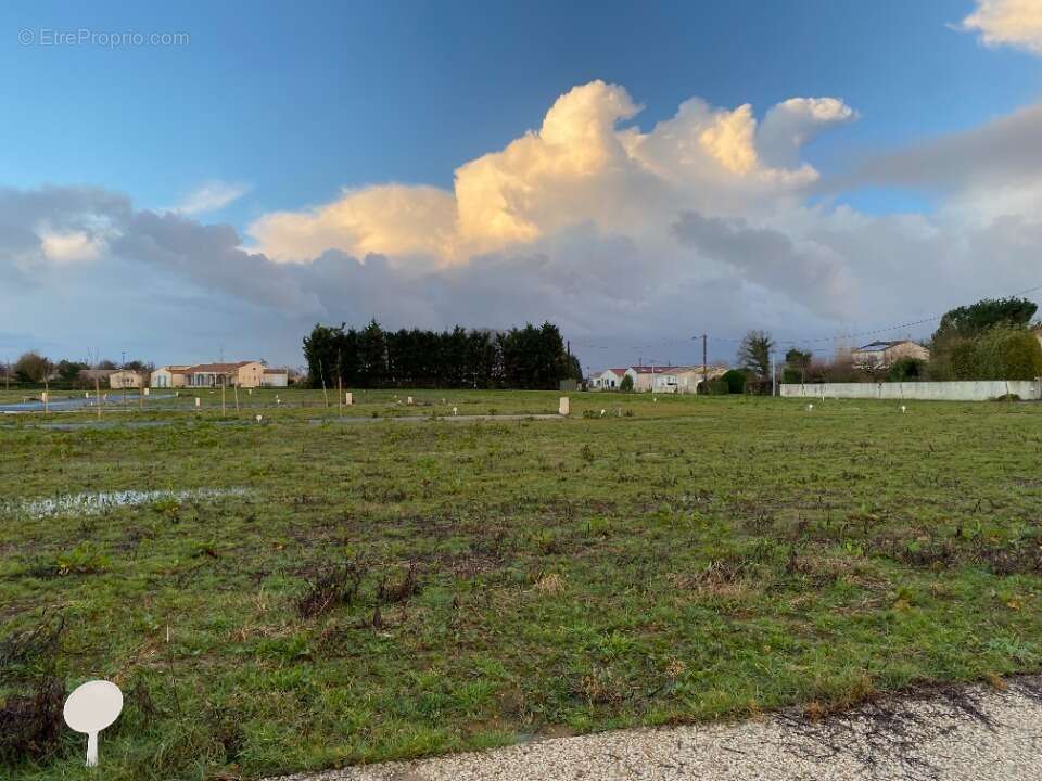 Terrain 617 m² à Corme-Royal  - photo 2