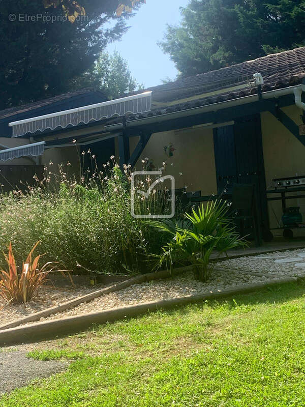 Gîte au cœur du Périgord noir dans un grand parc arboré - photo 10