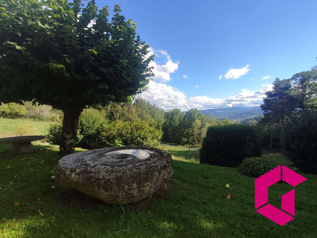 Maison à OLLIERGUES