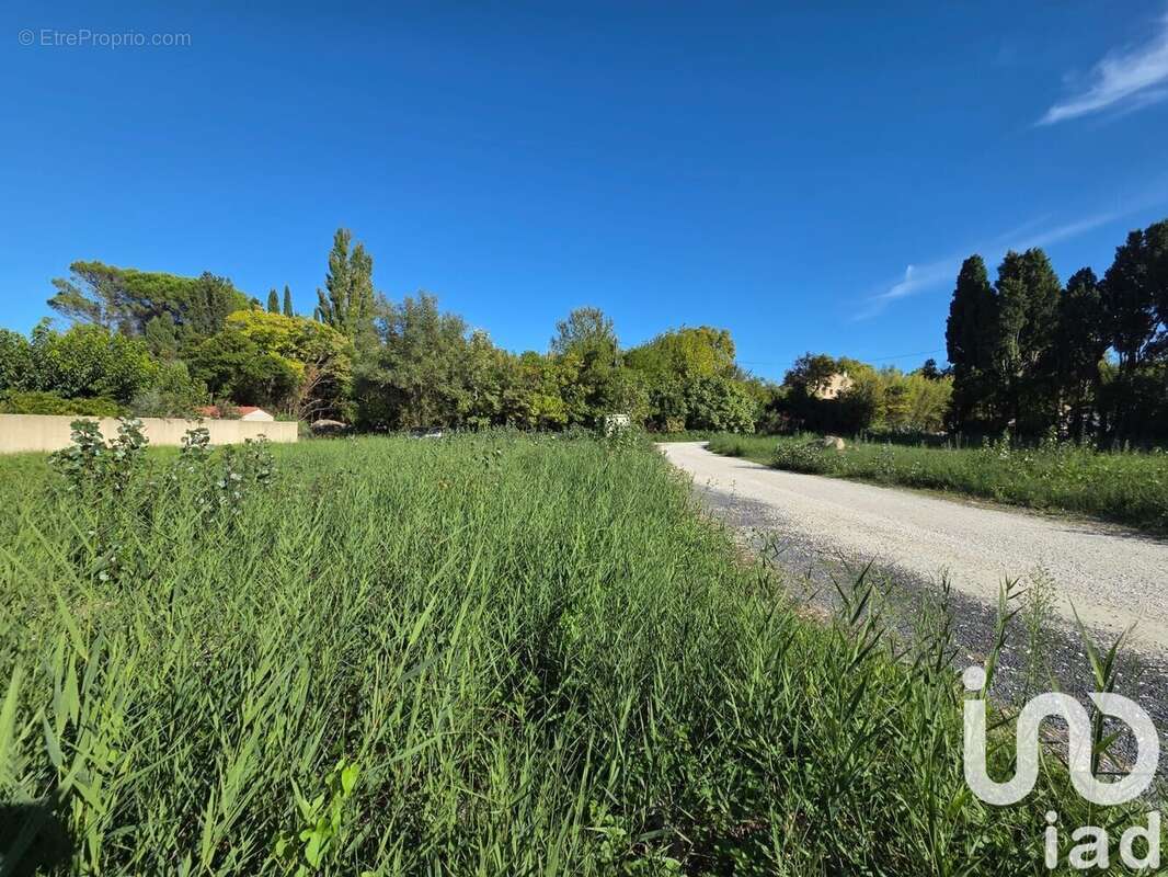 Photo 2 - Terrain à SAINT-REMY-DE-PROVENCE