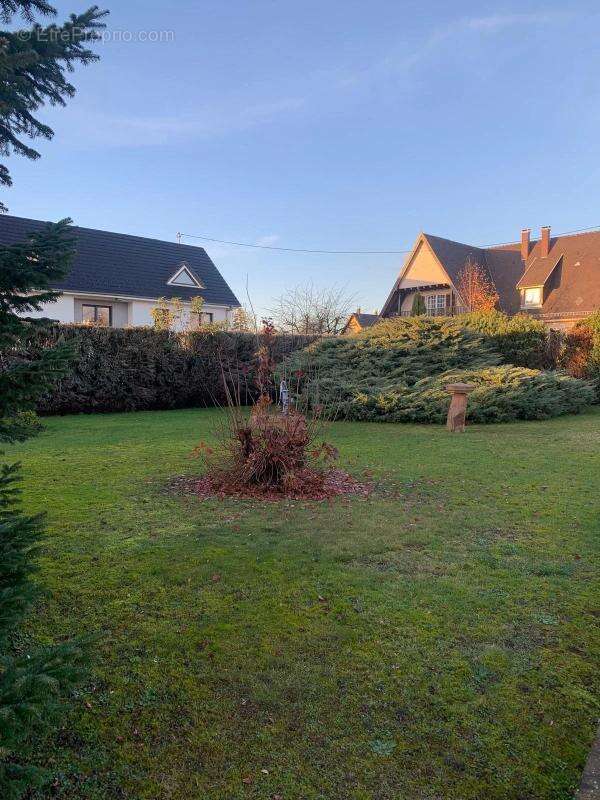 Terrain à WEITBRUCH