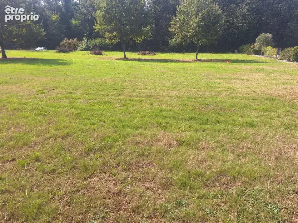 Terrain à BRAX