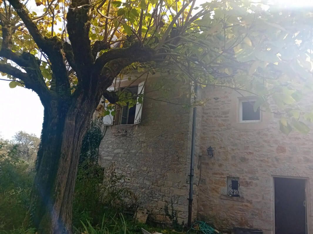 arriere de la maison 