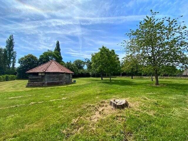 Terrain à BERVILLE-EN-ROUMOIS