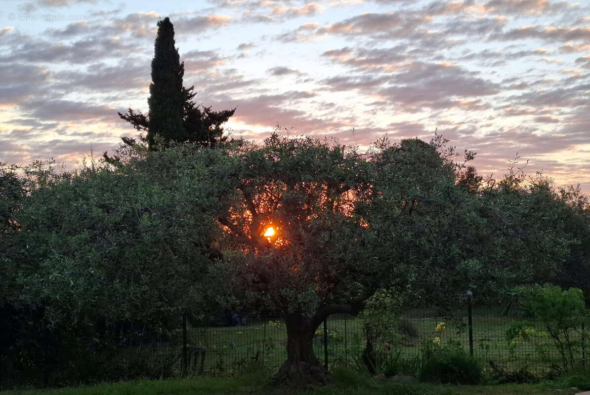 Maison à PEYMEINADE