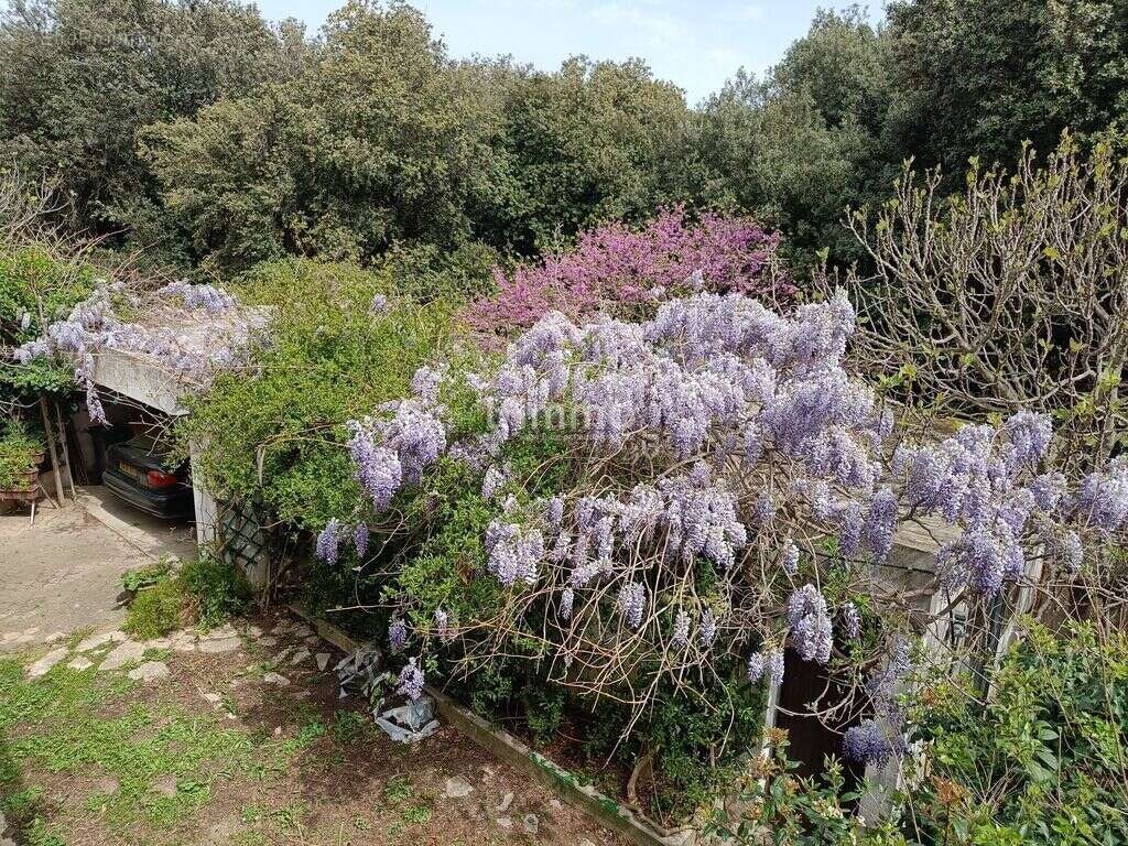 Maison à MARSEILLE-9E