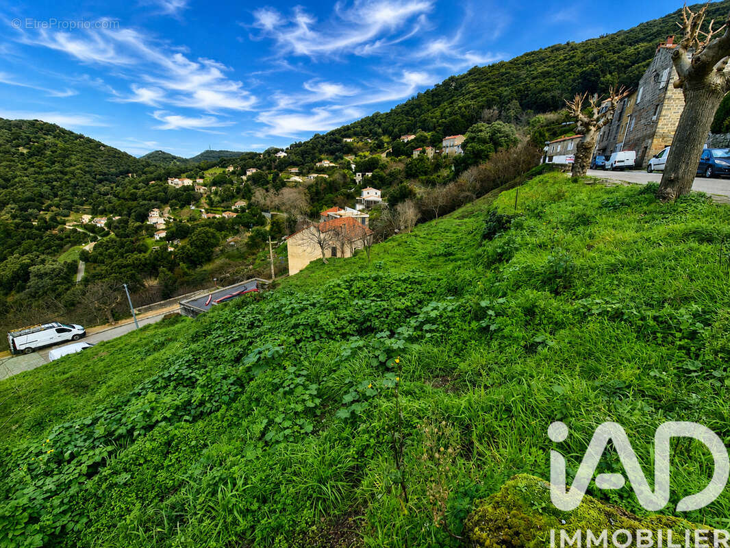 Terrain 750 m² à Sollacaro  - photo 2
