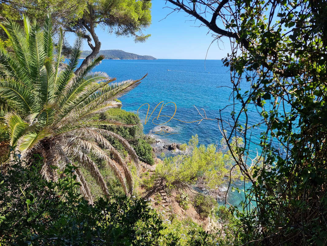 Pieds dans l eau proche de gigaro plages ! - photo 3