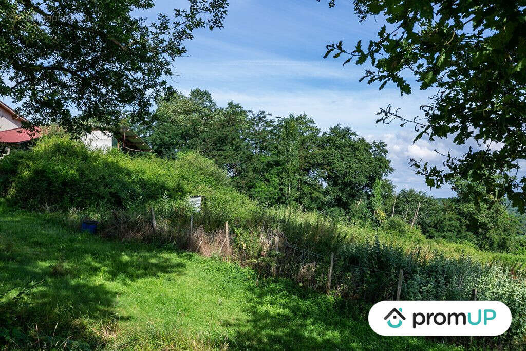 Terrain à GAMARDE-LES-BAINS