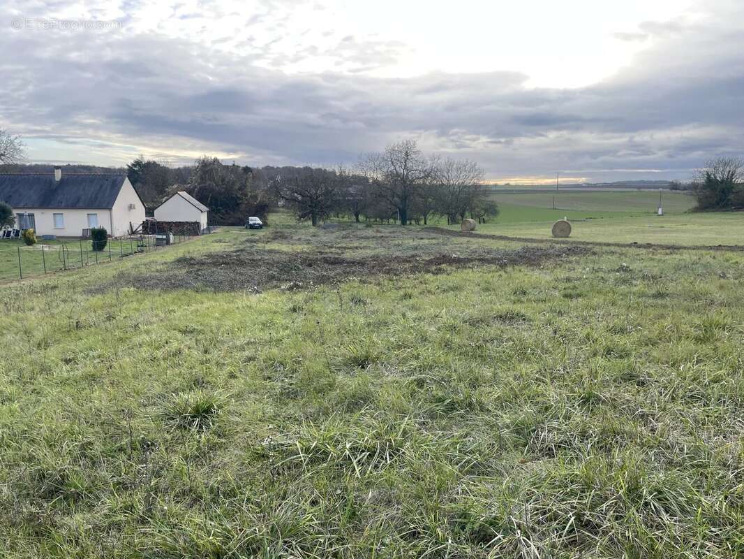 Terrain à LERNE