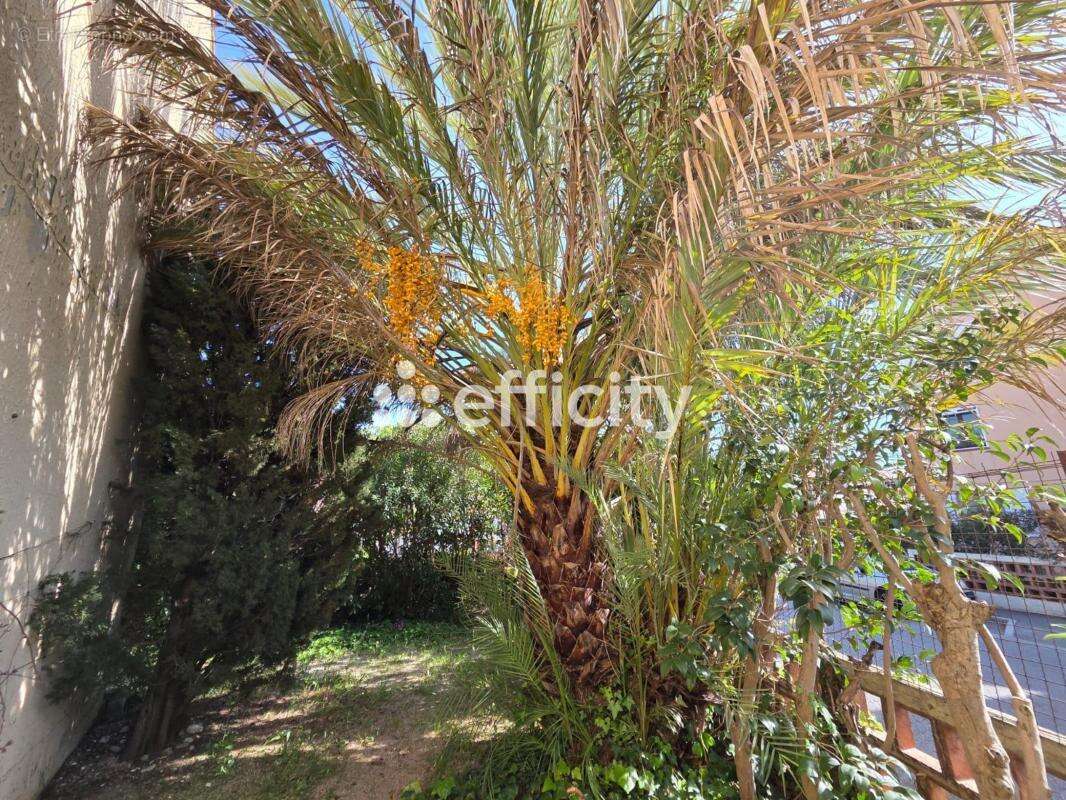 Appartement à SAINT-CYR-SUR-MER