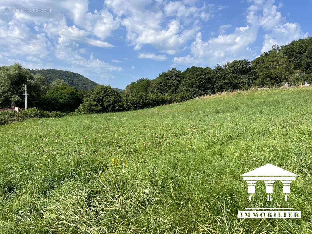 Terrain à SAINT-SERNIN-DU-BOIS