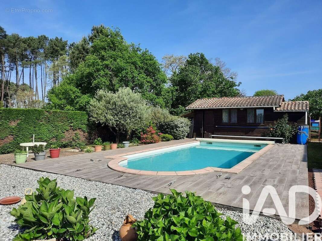 Photo 2 - Maison à SANGUINET