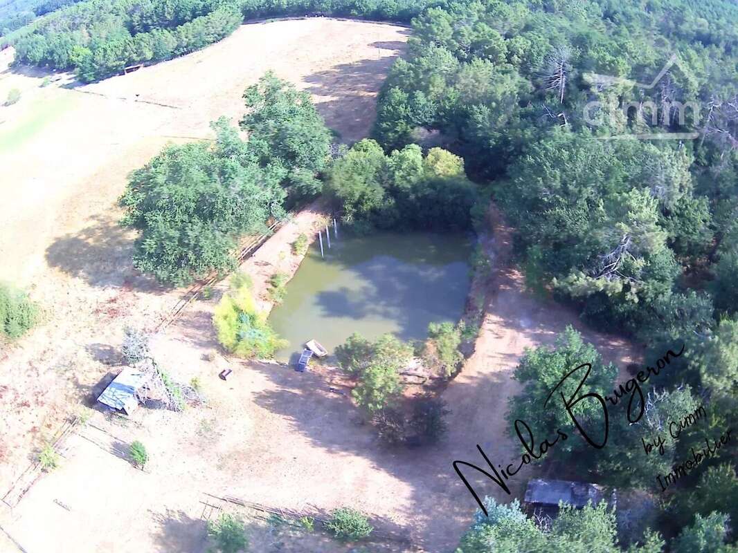 En exclusivité – Ensemble immobilier avec deux habitations, étang et près d’un hectare de terrain - photo 7